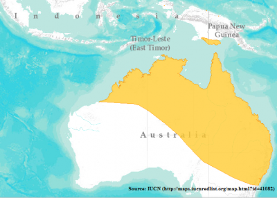 distribution-litoria-caerulea.png