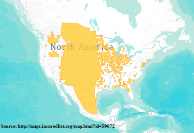 Distribution Ambystoma tigrinum