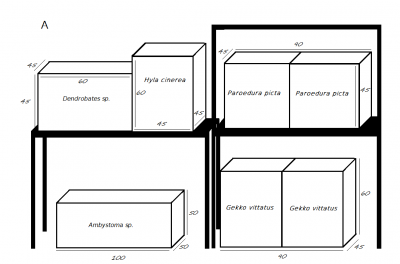 piece-mur-droit.png